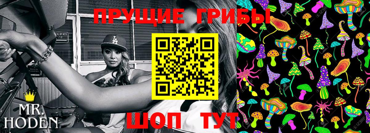 Псилоцибиновые грибы GOLDEN TEACHER Тихорецк