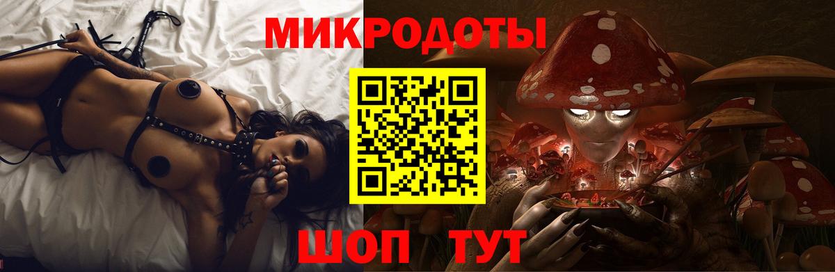 Псилоцибиновые грибы GOLDEN TEACHER  Галлюциногенные грибы Psilocybine cubensis  Вход с VPN  Тихорецк 